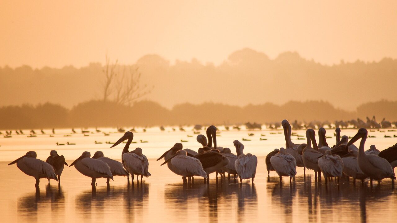 Bate-volta perfeito: trilhas, natureza e paisagens de tirar o fôlego na Serra do Itaqueri
