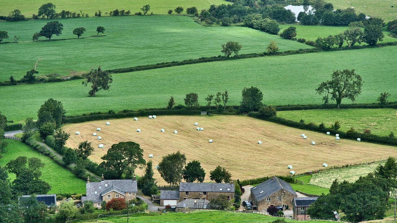 Rancho das Videiras em Araçatuba: Turismo Rural, Natureza e Experiência Gastronômica no Interior Paulista