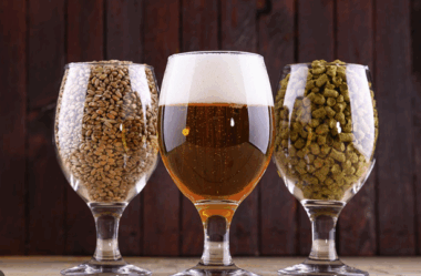 Cerveja, Comida e Som – Tudo Junto no Degusta in Sanca 2025