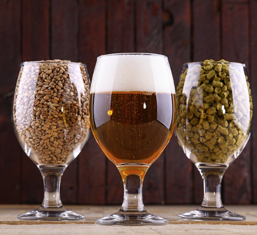 Cerveja, Comida e Som – Tudo Junto no Degusta in Sanca 2025