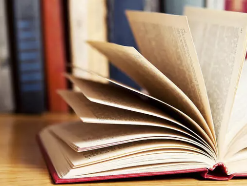 Na ponta da caneta, Araxá brilha no 13º Fliaraxá 2025: Festival Literário Internacional celebra "Literatura, Encruzilhada e Memória"