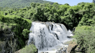 Ser criança é viver em modo aventura: passeios em Poços de Caldas para os pequenos