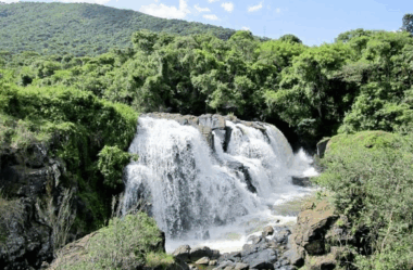 Ser criança é viver em modo aventura: passeios em Poços de Caldas para os pequenos