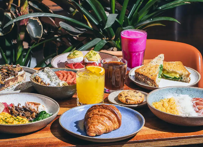 Fazenda Irarema: O Melhor Azeite de Poços de Caldas em Uma Experiência Inesquecível