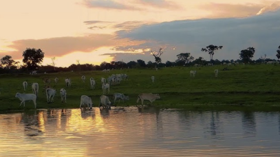 Vida simples, humor afiado: Chico da Tiana chega com Caipiramente Falando em Poços de Caldas