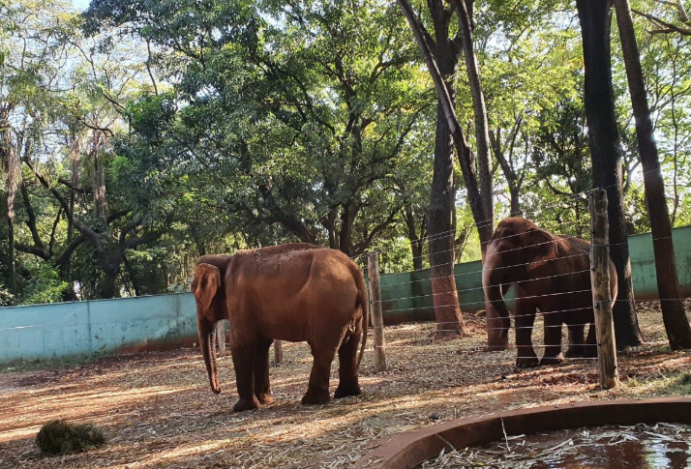 O charme do antigo, o conforto do novo: um passeio por memórias e mimos em Ribeirão Preto