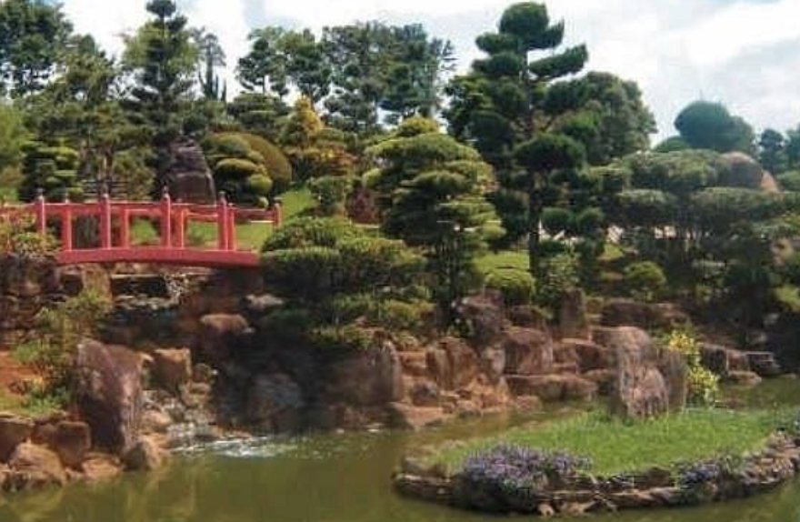 Bosque e Zoológico Fábio Barreto: Refúgio Natural e Conservação Ambiental em Ribeirão Preto