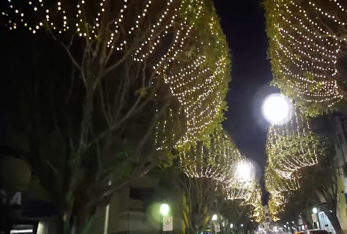 Azeite Premiado Que Conquista Corações Pelo Mundo