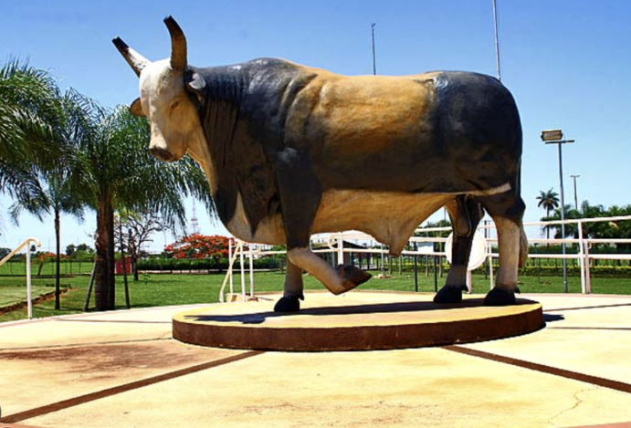Memorial do Peão de Boiadeiro: Tradição, Emoção e História Viva em Barretos