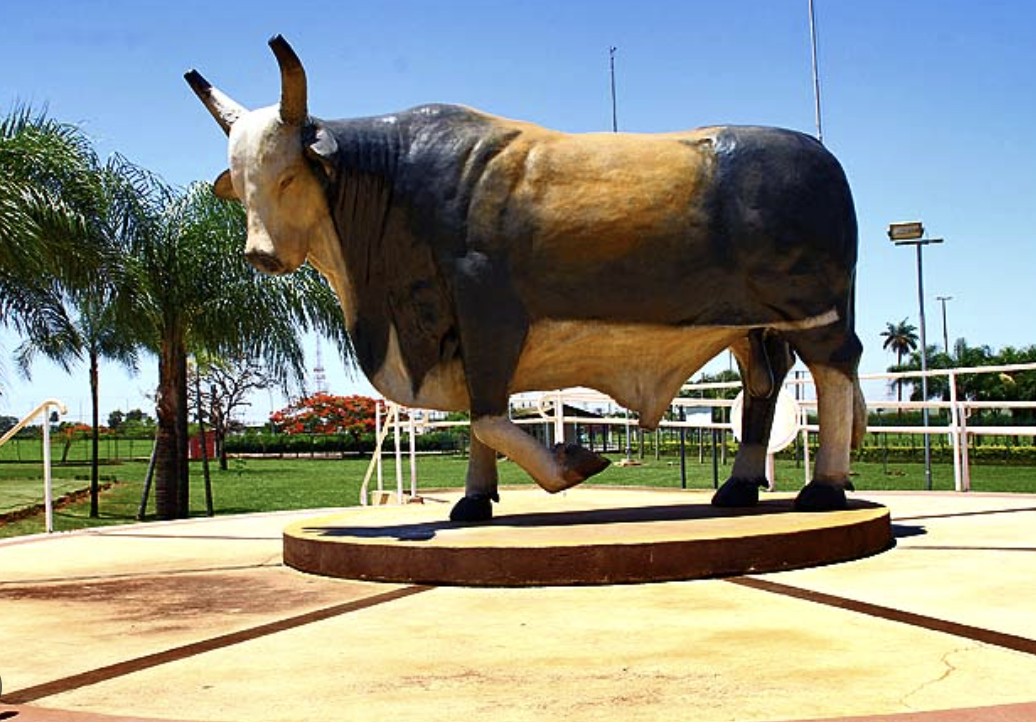 Memorial do Peão de Boiadeiro: Tradição, Emoção e História Viva em Barretos