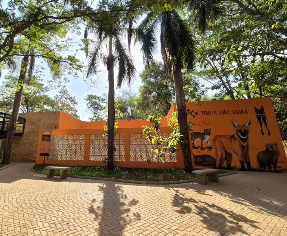 <h1>Parque Ecológico do Baguaçu: um refúgio verde no coração de Araçatuba</h1> 
Entre ruas movimentadas e o ritmo urbano de Araçatuba, existe um lugar onde o som das aves substitui o barulho dos carros e o ar puro convida à pausa: o Parque Ecológico do Baguaçu. Inaugurado em 22 de novembro de 1988, o espaço é um verdadeiro tesouro natural localizado às margens do Ribeirão Baguaçu, um santuário de biodiversidade que encanta moradores e turistas.
Para quem se hospeda no Hotel Nacional Inn Araçatuba, visitar o parque é uma oportunidade de se conectar com a natureza sem precisar sair da cidade. Ideal para passeios em família, caminhadas tranquilas ou momentos de reflexão, o Parque do Baguaçu combina beleza natural, importância ambiental e valor histórico, tornando-se um dos principais pontos turísticos da região.
<h2>Um patrimônio ambiental de Araçatuba</h2> 
Conhecido pela sigla PEBA, o Parque Ecológico do Baguaçu foi criado com o objetivo de preservar a fauna e a flora local, além de funcionar como espaço educativo voltado à conscientização ambiental. Ele está situado entre a Avenida Baguaçu, Avenida Waldir Felizola de Morais e Avenida Joaquim Pompeu de Toledo, em uma área privilegiada próxima à empresa SAMAR, responsável pelo tratamento de água e esgoto da cidade.
Com mais de três décadas de existência, o parque abriga diversas espécies de plantas, aves e pequenos animais, sendo considerado um dos últimos refúgios ecológicos urbanos da região. Sua rica biodiversidade transforma o local em um verdadeiro laboratório natural, utilizado por estudantes, pesquisadores e amantes do meio ambiente.
Os visitantes encontram trilhas ecológicas, áreas sombreadas e um cenário que muda a cada estação. Durante o passeio, é possível observar árvores nativas, bromélias e flores silvestres que embelezam os caminhos, enquanto o canto dos pássaros cria a trilha sonora perfeita para um dia de paz e contemplação.
<h2>Trilhas, história e biodiversidade</h2> 
O Parque do Baguaçu se destaca também por sua trilha ecológica, que acompanha as margens do ribeirão e revela paisagens exuberantes. Antigamente, a área abrigava uma pedreira, utilizada na construção de parte da cidade. Com o tempo, o espaço foi revitalizado e transformado em um ambiente de preservação, voltado para o lazer e a educação ambiental.
Hoje, as trilhas conduzem o visitante por um percurso que une história e natureza. Ao longo do caminho, é possível observar as antigas formações rochosas da pedreira, enquanto a vegetação reconstituída abriga diferentes espécies de aves. Muitos visitantes relatam avistar tucanos, maritacas, beija-flores e outras aves típicas da região, tornando o parque um paraíso para observadores e fotógrafos da vida selvagem.
O Ribeirão Baguaçu, que dá nome ao parque, corta parte do terreno e oferece um cenário refrescante. O som da água correndo suavemente entre as pedras cria uma atmosfera relaxante, perfeita para quem busca momentos de descanso e reconexão.
<h2>Educação e conscientização ambiental</h2> 
Mais do que um espaço de lazer, o Parque Ecológico do Baguaçu é um centro de educação ambiental ativo. A Secretaria Municipal de Meio Ambiente de Araçatuba mantém no local uma equipe dedicada a atividades pedagógicas voltadas para escolas, universidades e grupos comunitários.
As visitas podem ser agendadas e incluem trilhas monitoradas, oficinas e palestras sobre sustentabilidade, reciclagem e preservação da fauna e flora. Essa iniciativa aproxima crianças e jovens do contato direto com o meio ambiente, despertando desde cedo a consciência ecológica e o respeito pela natureza.
O parque também recebe eventos anuais ligados à Semana do Meio Ambiente, ações de reflorestamento e programas de voluntariado, que ajudam na manutenção e revitalização das áreas verdes.
<h2>Um passeio tranquilo e acessível</h2> 
Aberto ao público de segunda a sexta-feira, das 8h às 17h, o Parque Ecológico do Baguaçu é gratuito e de fácil acesso para quem está no centro da cidade. Sua infraestrutura é simples, mas funcional, e conta com áreas de descanso, pontos de observação e uma pequena sede administrativa usada para atividades de pesquisa e monitoramento ambiental.
A experiência é ideal para quem busca um passeio tranquilo, cercado pela natureza, longe da correria cotidiana. Caminhar pelas trilhas, respirar ar puro e observar a vida ao redor é uma forma de desacelerar e recarregar as energias, algo que combina perfeitamente com o espírito acolhedor de Araçatuba.
<h2>Como chegar a partir do Hotel Nacional Inn Araçatuba</h2> 
Localizado a poucos minutos do Hotel Nacional Inn Araçatuba, o parque é de fácil acesso tanto de carro quanto de transporte por aplicativo. O trajeto leva cerca de 10 minutos, cruzando avenidas centrais até a Rua Baguaçu, número 1259.
A dica é visitar o parque pela manhã, quando o clima está mais ameno e a luz natural realça o verde intenso da vegetação. Após o passeio, o visitante pode aproveitar para almoçar em um dos restaurantes próximos e, em seguida, retornar ao hotel para relaxar.
O Nacional Inn Araçatuba oferece todo o conforto necessário após um dia de caminhada e exploração, com quartos amplos, ar-condicionado, Wi-Fi gratuito, café da manhã completo e uma equipe sempre disposta a auxiliar com dicas sobre o que fazer na cidade.
<h2>Um convite à reconexão</h2> 
O Parque Ecológico do Baguaçu é um lembrete de que o contato com a natureza pode estar mais perto do que imaginamos. Entre árvores centenárias e o som da água, o visitante encontra paz, aprendizado e um novo olhar sobre o meio ambiente.
Ao escolher o Hotel Nacional Inn Araçatuba como base, é possível unir comodidade, boa localização e experiências autênticas. O hotel, situado no coração da cidade, oferece fácil acesso a todas as atrações de Araçatuba, do agito dos bares e restaurantes ao refúgio tranquilo do parque.
Visitar o Baguaçu é uma forma de valorizar a beleza natural da região e vivenciar momentos que equilibram corpo e mente. É um passeio que agrada a quem ama natureza, fotografia, caminhadas ou simplesmente deseja respirar ar puro.
Entre o conforto do Nacional Inn e a serenidade do parque, o visitante descobre o melhor de Araçatuba: uma cidade que acolhe, preserva e encanta, com o verde como cenário e a hospitalidade mineira da Rede Nacional Inn como companhia.

