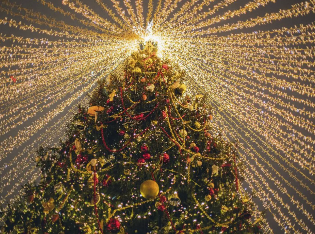 Proclamação da República com Cheirinho de Pão de Queijo: Um Feriado Delicioso em Poços de Caldas