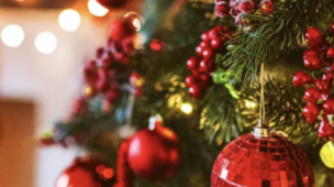 Magia e tradição: o Natal brilha no Parque do Peão em Barretos