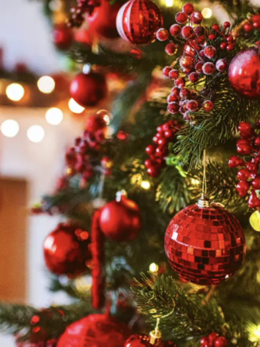 Magia e tradição: o Natal brilha no Parque do Peão em Barretos