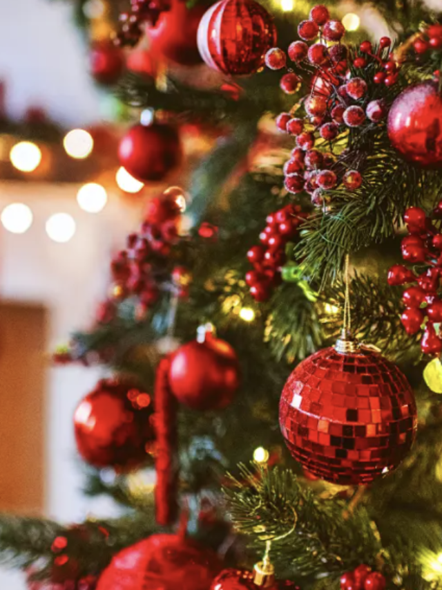 Magia e tradição: o Natal brilha no Parque do Peão em Barretos