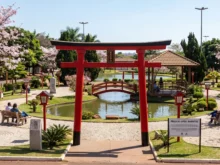 Ver mais: Praça do Japão em Barretos: Refúgio de Tranquilidade e Cultura Oriental no Interior Paulista