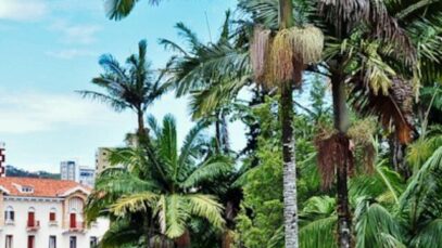 Parque José Affonso Junqueira em Poços de Caldas: o coração verde que transforma seu roteiro