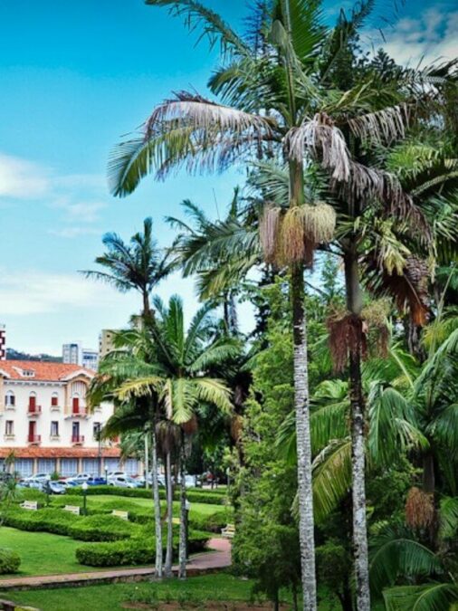 Parque José Affonso Junqueira em Poços de Caldas: o coração verde que transforma seu roteiro