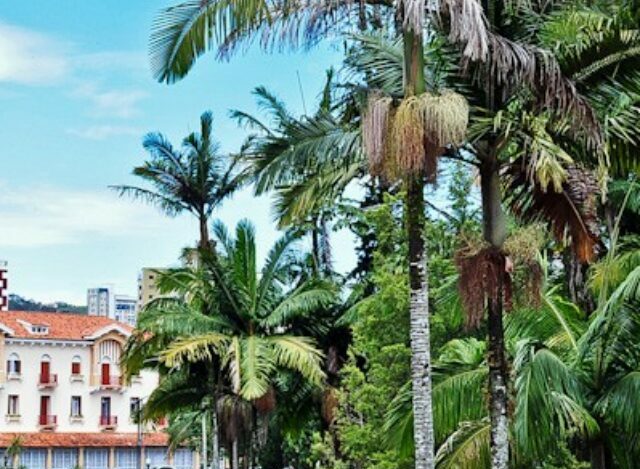 Parque José Affonso Junqueira em Poços de Caldas: o coração verde que transforma seu roteiro Parque José Affonso Junqueira em Poços de Caldas: o coração verde que transforma seu roteiro