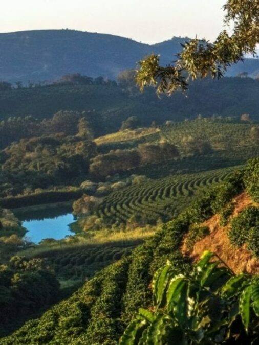 Rota dos Cafés Especiais do Sul de Minas: guia completo para viver o sabor da Mantiqueira
