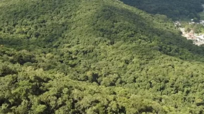 Junho Verde 2026 transforma Poços de Caldas em referência de turismo sustentável