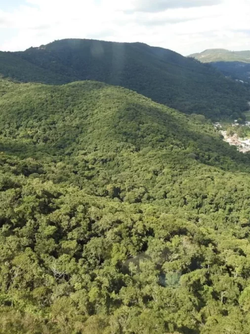 Junho Verde 2026 transforma Poços de Caldas em referência de turismo sustentável