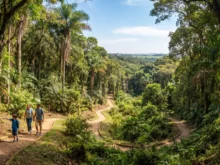 Ver mais: Horto de Tupi: guia completo para visitar a maior área verde de Piracicaba
