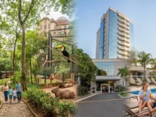 Ver mais: Bosque dos Jequitibás em Campinas: guia completo para visitar e se hospedar no Euro Suite Campinas