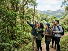 Ver mais: De quem é esse canto? Observação de aves em Poços de Caldas para iniciantes