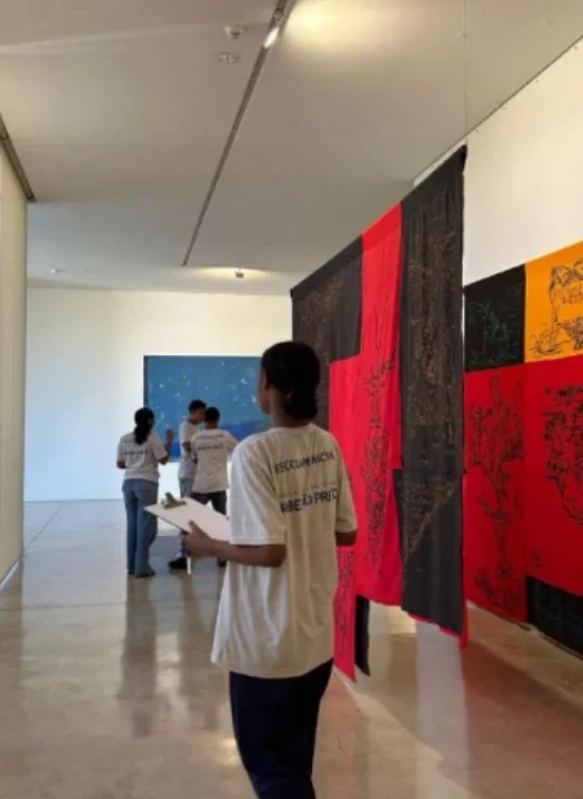 Programa Educativo: uma experiência que vai além da observação
